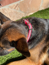 Load image into Gallery viewer, Hot Pink Reflective Dog Collar 1" Wide with D-Ring Connector