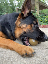Load image into Gallery viewer, The World’s Toughest Dog Ball - Standard Size