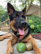 Load image into Gallery viewer, Two Ball Bundle - One Standard & One Giant - Best Deal