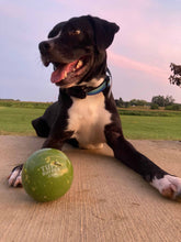 Load image into Gallery viewer, The World’s Toughest Dog Ball - Giant Size
