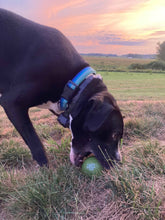 Load image into Gallery viewer, The World’s Toughest Dog Ball - Giant Size