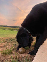 Load image into Gallery viewer, Two Ball Bundle - One Standard & One Giant - Best Deal