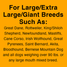 Load image into Gallery viewer, The World’s Toughest Dog Ball - Giant Size