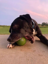 Load image into Gallery viewer, The World’s Toughest Dog Ball - Giant Size
