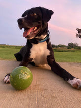 Load image into Gallery viewer, The World’s Toughest Dog Ball - Giant Size
